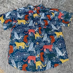 Button down size 24 month